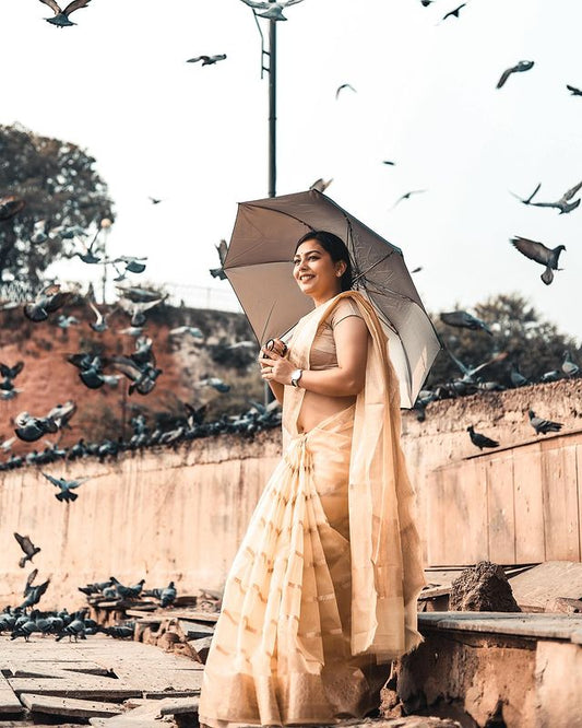 Premium Banarasi organza stripe saree