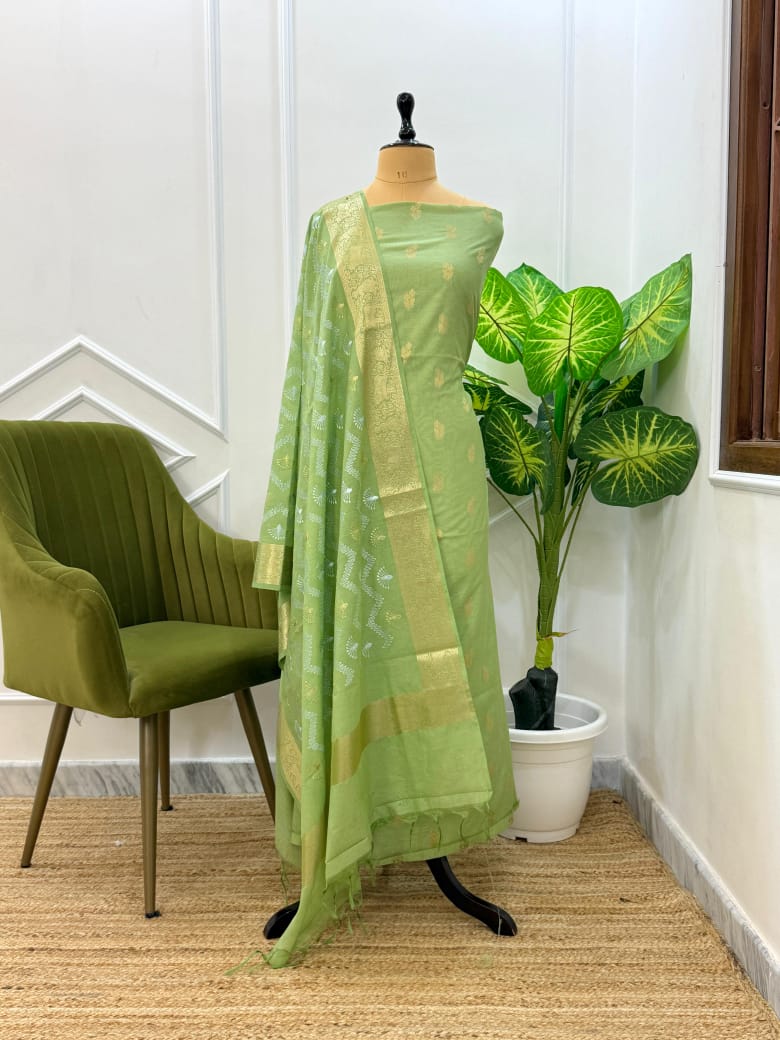 Green saree with gold border on a mannequin against a white wall with a plant and chair.